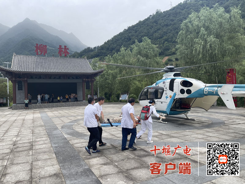 竹山柳林