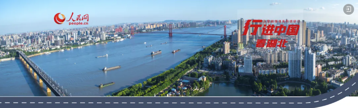 360截图20240813143717753