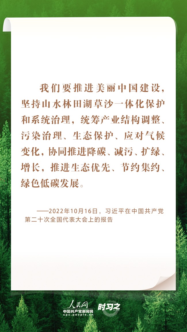 MAIN1722839475307D7BZGZP4FE