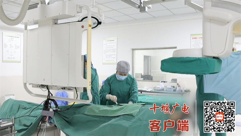 QQ截图20240816110556