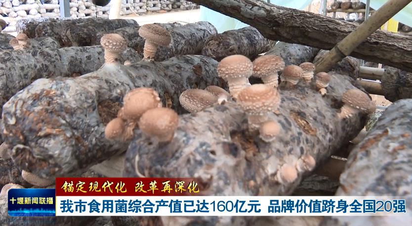 360截图20240820192038732