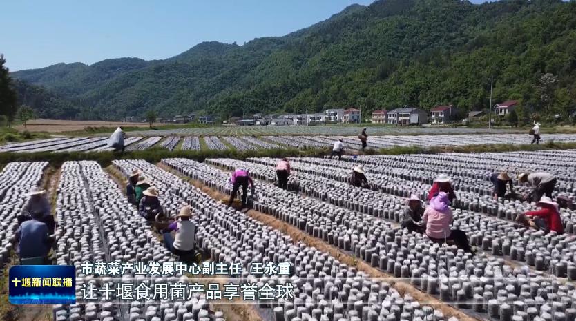 360截图20240820192518557