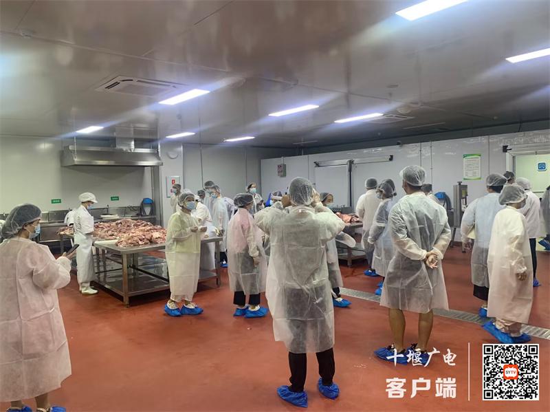 QQ图片20240829112650_副本