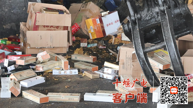 QQ截图20240830124428