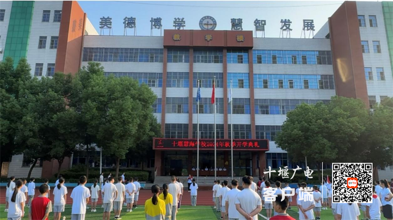 图片1