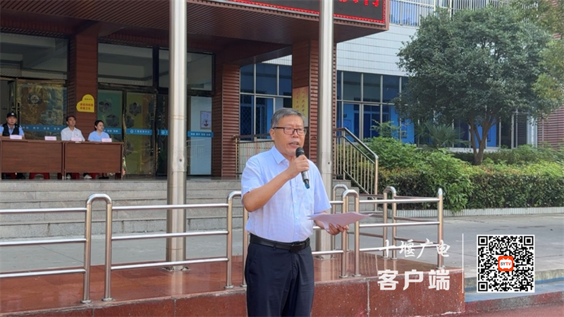 图片7