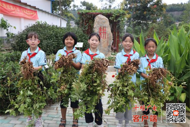 微信图片_20240904174401_副本