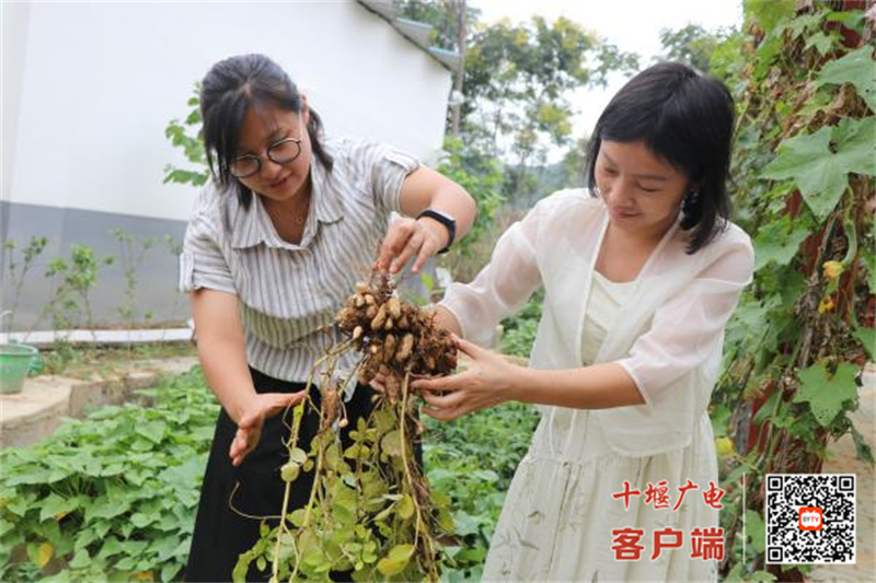 微信图片_20240904174413_副本