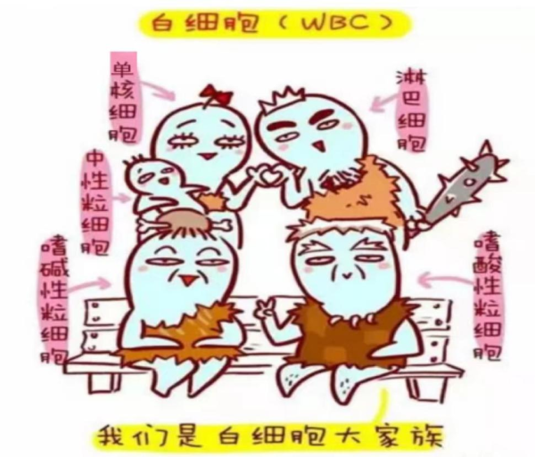 5361be2a2eec42d09868a62cbb6f1612