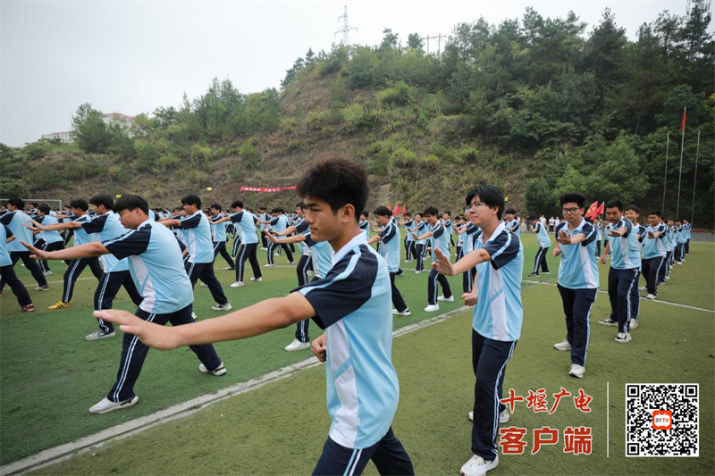 图片6_副本