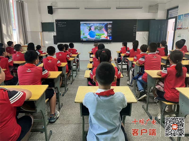 QQ图片20240909215229_副本