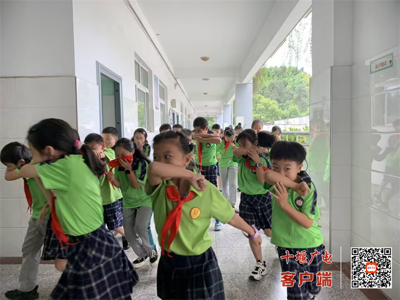 微信图片_20240913153115_副本