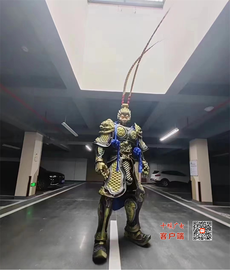 图片1