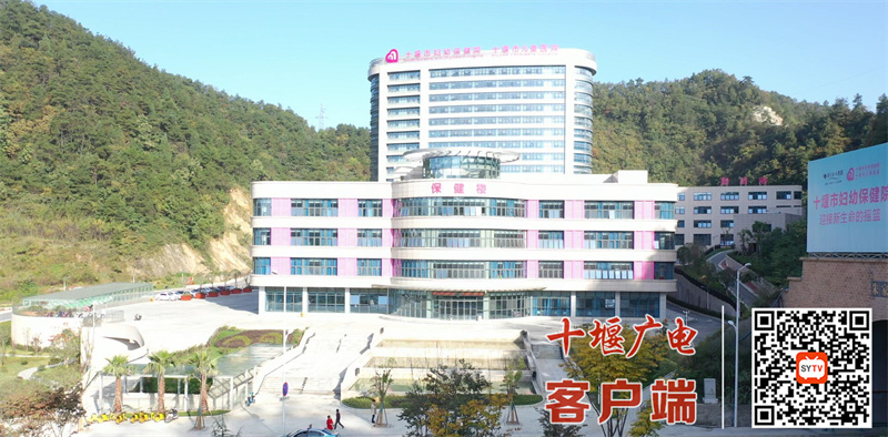 QQ截图20240926085626