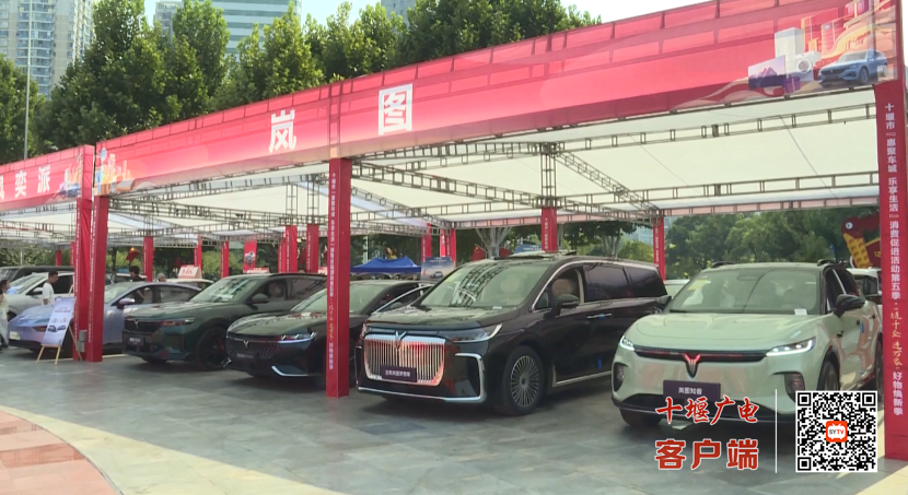 微信图片_20240927192135