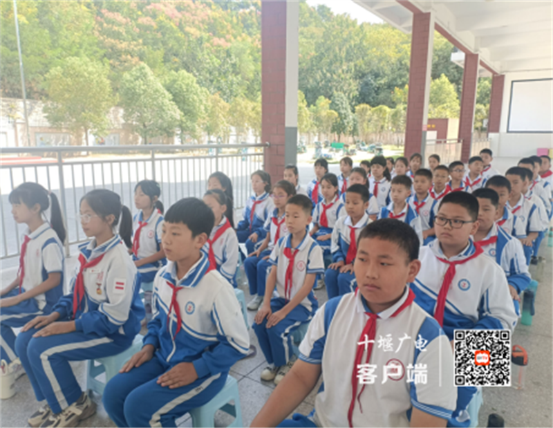 图片7