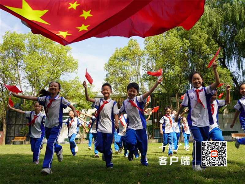 图片8