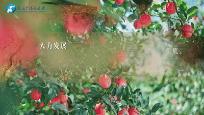 3f0cb9cde6b94258a8a9b5cca5466741