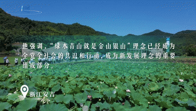 049cf4f538f9288bcbb62b152e81df89