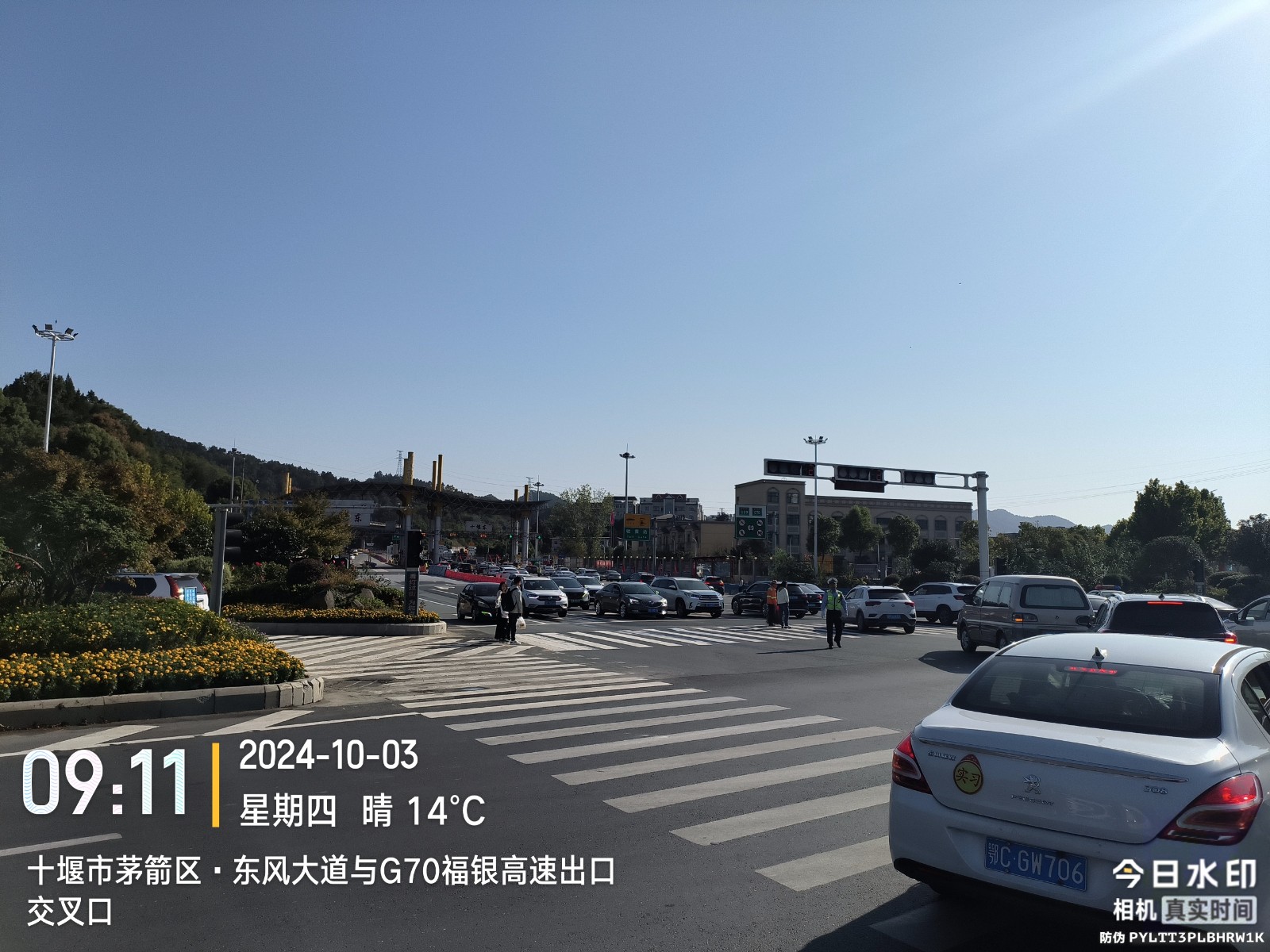f95238f618a9e4e9dfed8cff593cc0c