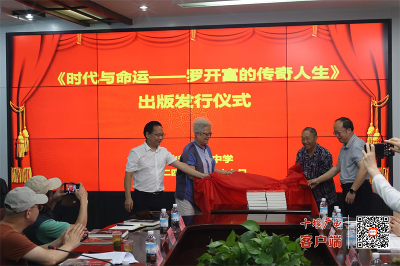 图片4