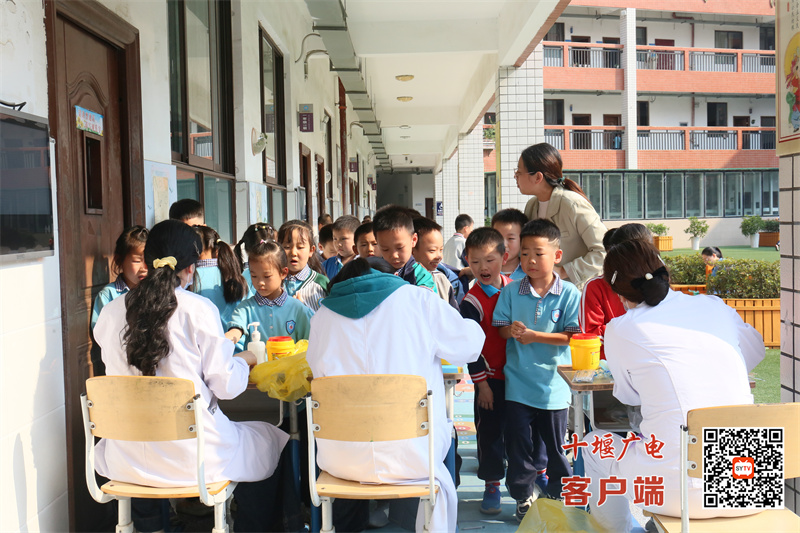 微信图片_20241010160919_副本