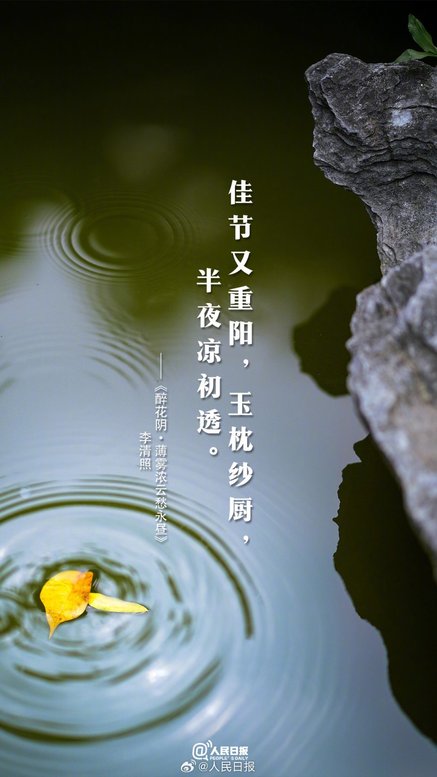 e392ea2a71274c6fb791aecddcbf0568