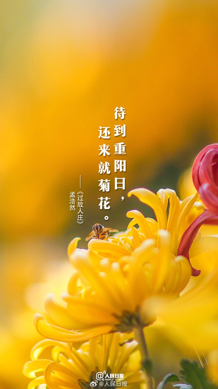 16f3aee6008543568331979fa0692f5e