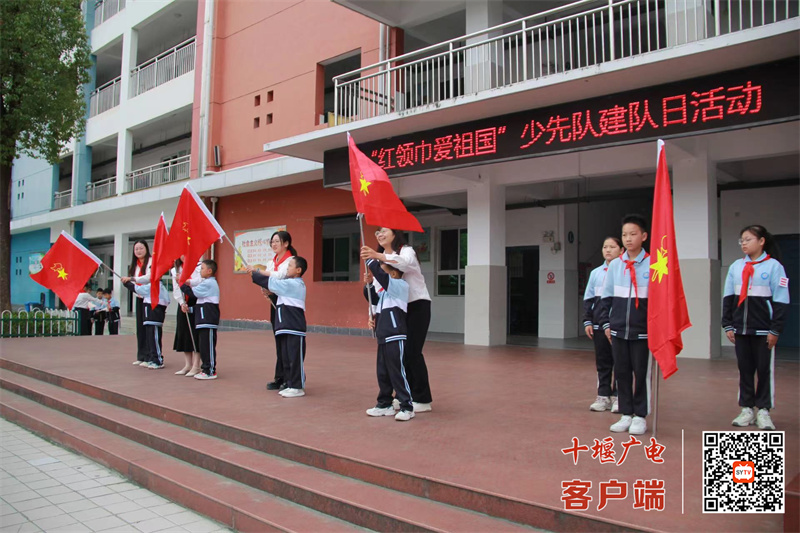 微信图片_20241011195748_副本