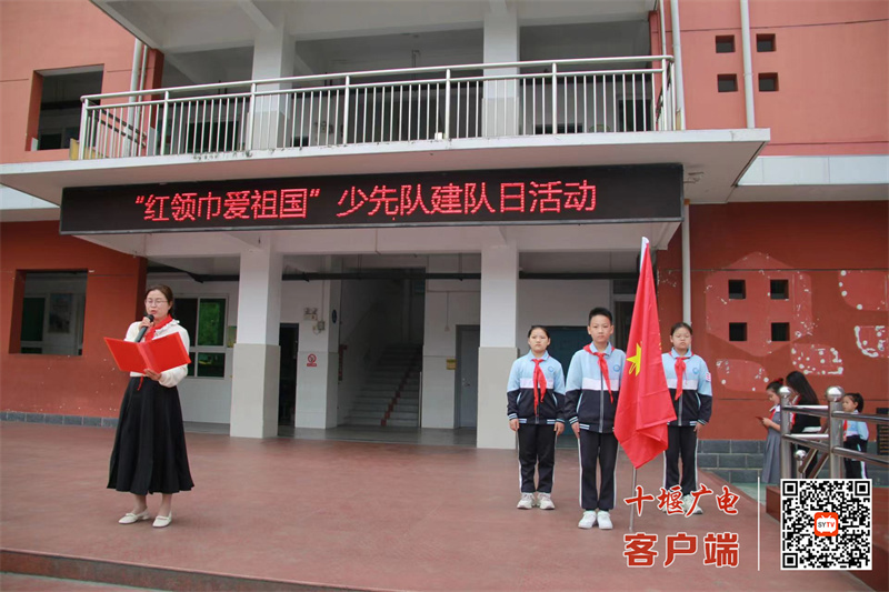 微信图片_20241011195751_副本