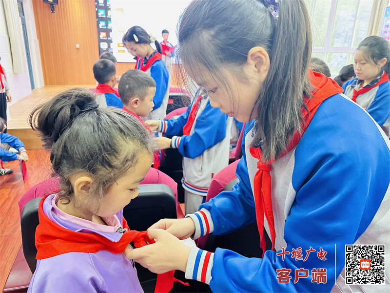 微信图片_20241012170649_副本