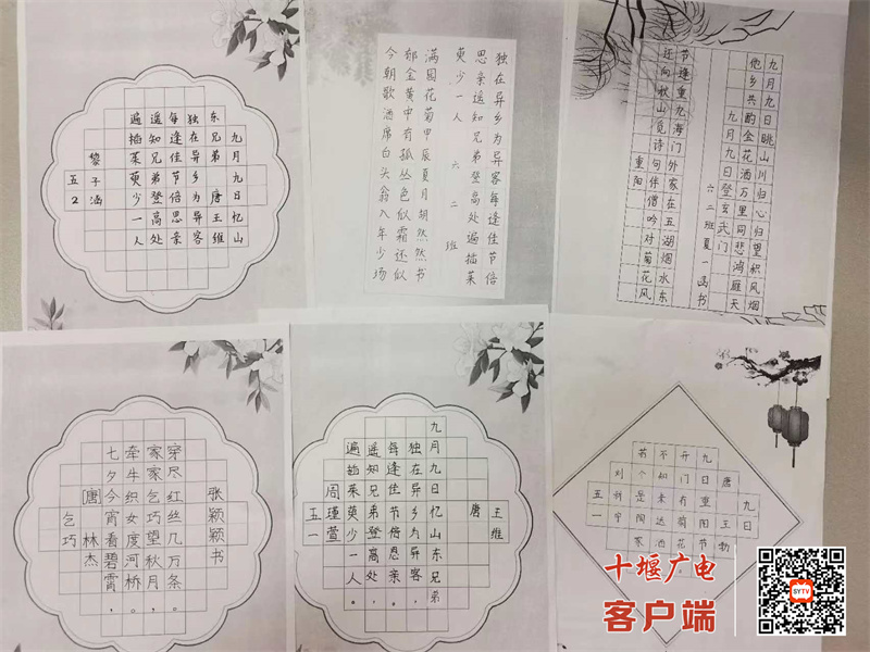 微信图片_20241013091323_副本