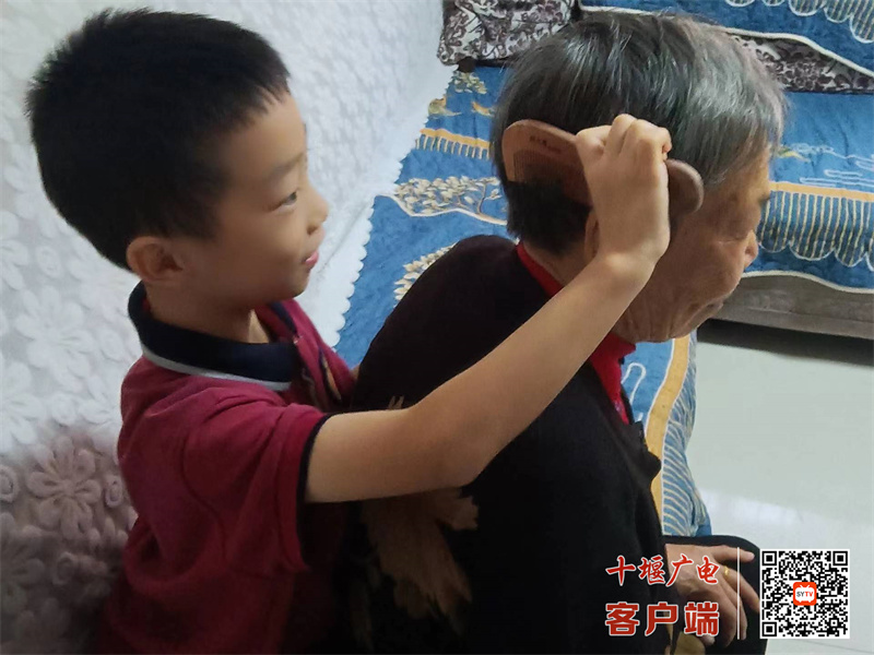 微信图片_20241013091318_副本