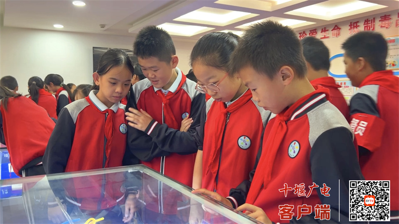 禁毒教育 (1)