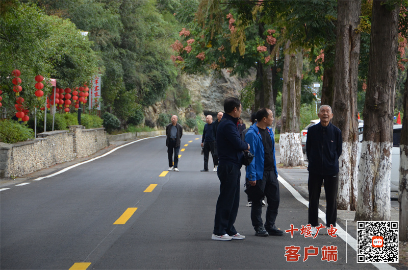 微信图片_20241014144634_副本