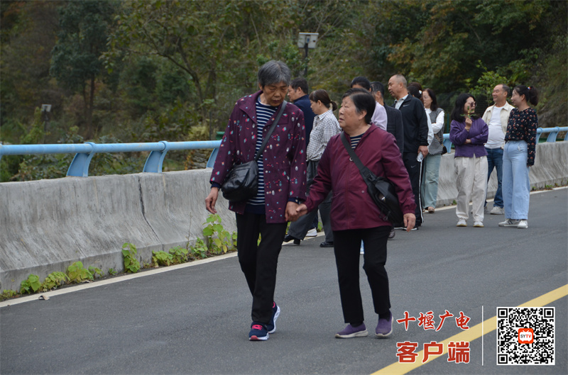 微信图片_20241014144638_副本