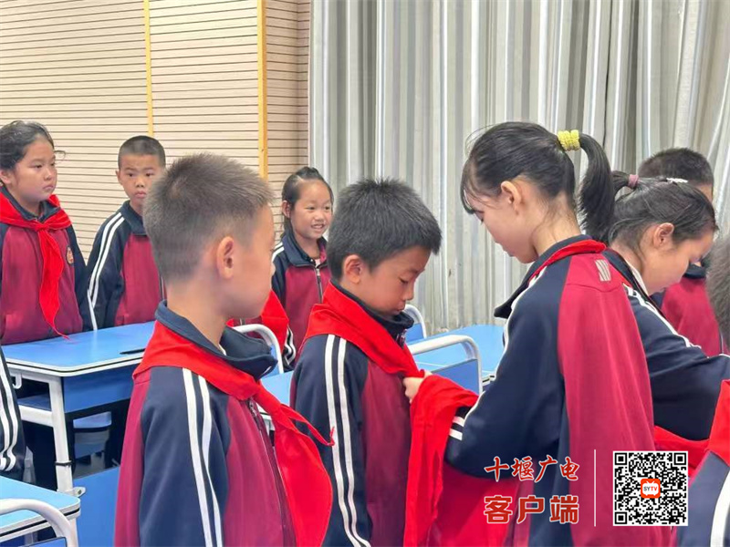 微信图片_20241014163819_副本