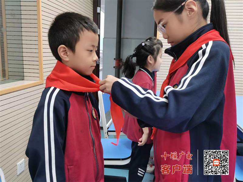 微信图片_20241014163816_副本