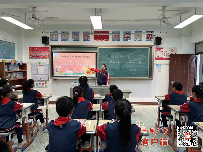 微信图片_20241015192316_副本