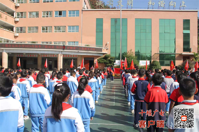 微信图片_20241015192331_副本