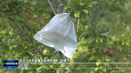 10月18日(1)