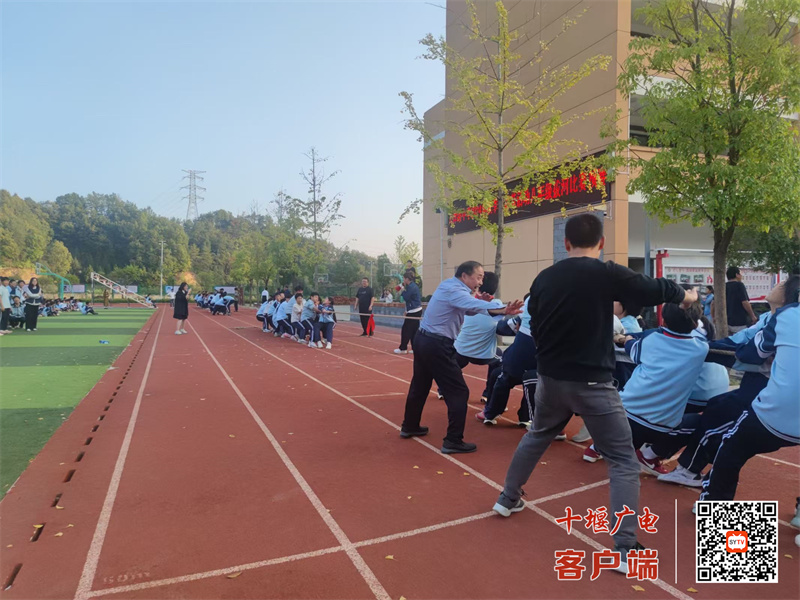 微信图片_20241019173728_副本