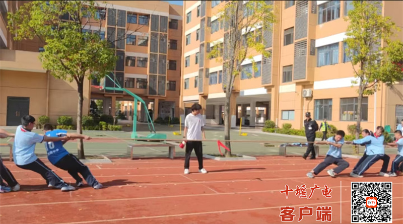 微信图片_20241019173733_副本