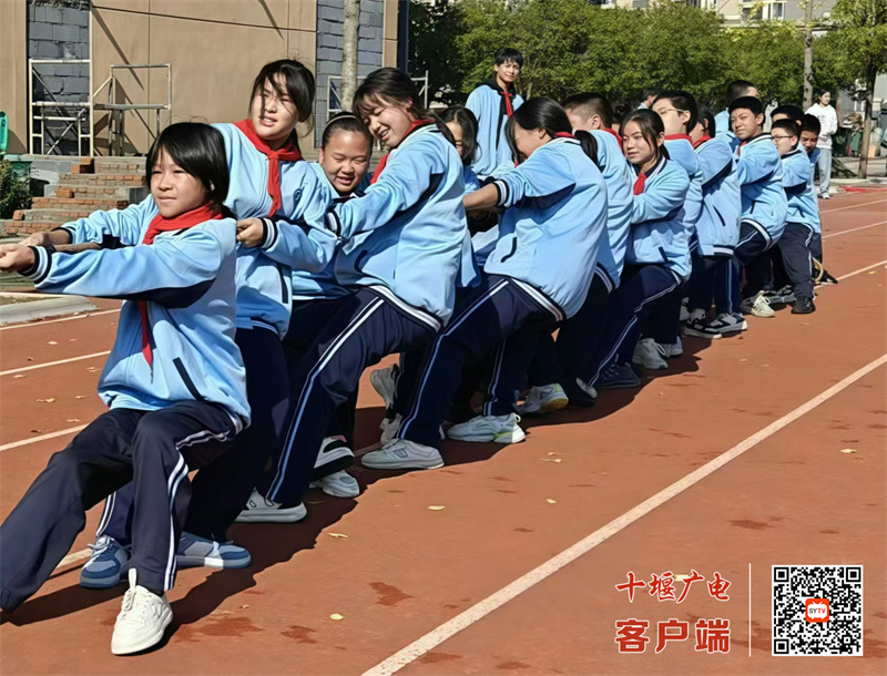 微信图片_20241019173737_副本