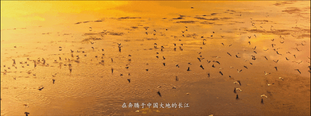 f7497dce-9bde-4419-972b-92ed110e8bbc (1)