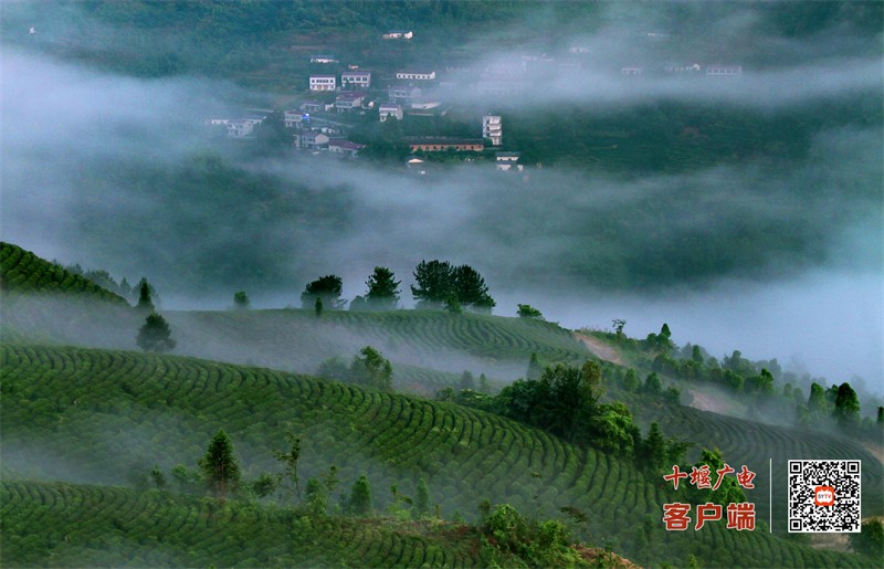 竹溪龙王垭旅游区