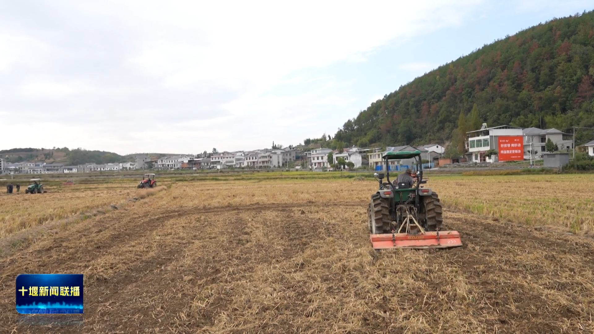 10月20日(16)