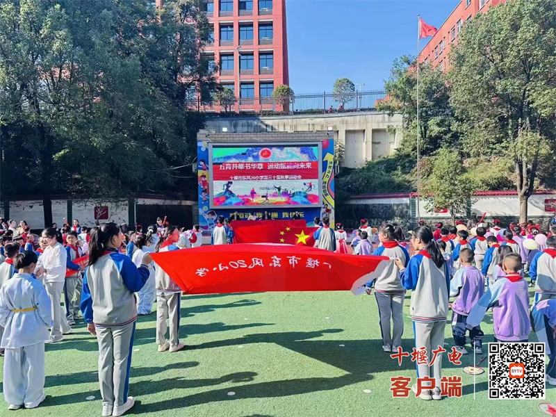 微信图片_20241020203841_副本
