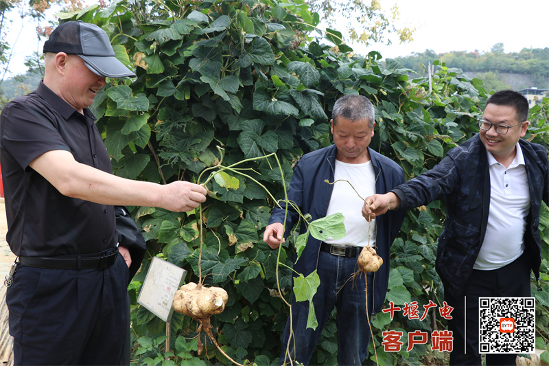 微信图片_20241022195603_副本