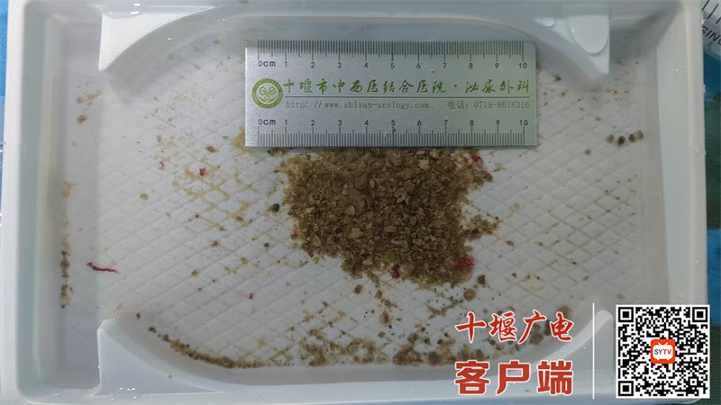 QQ图片20241024081527